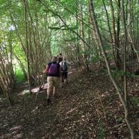 Grivesnes Juillet162