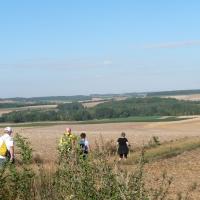 Fréchencourt août 2017
