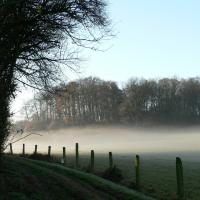 Rouvroy les merles 11DEC16